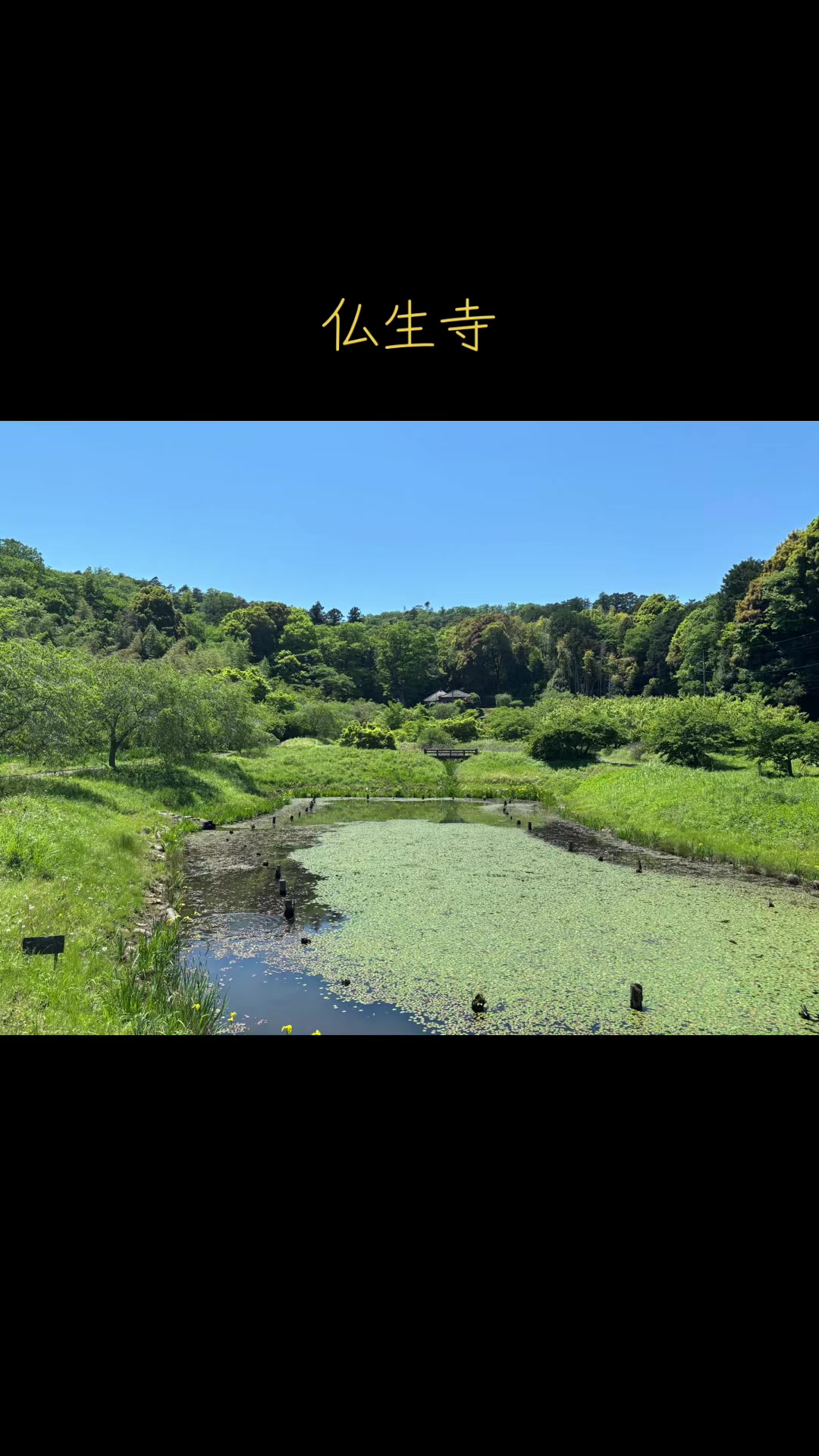 @ぜる