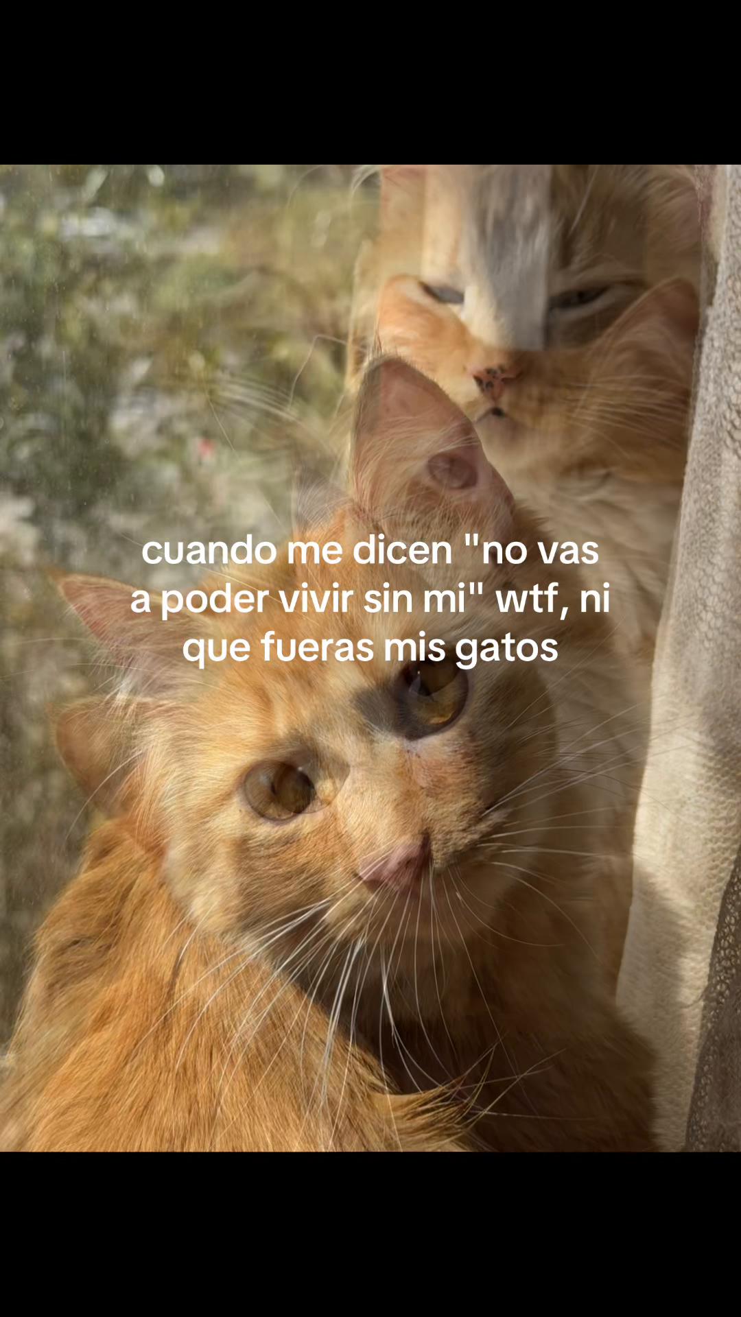 @Karinaaa🤍