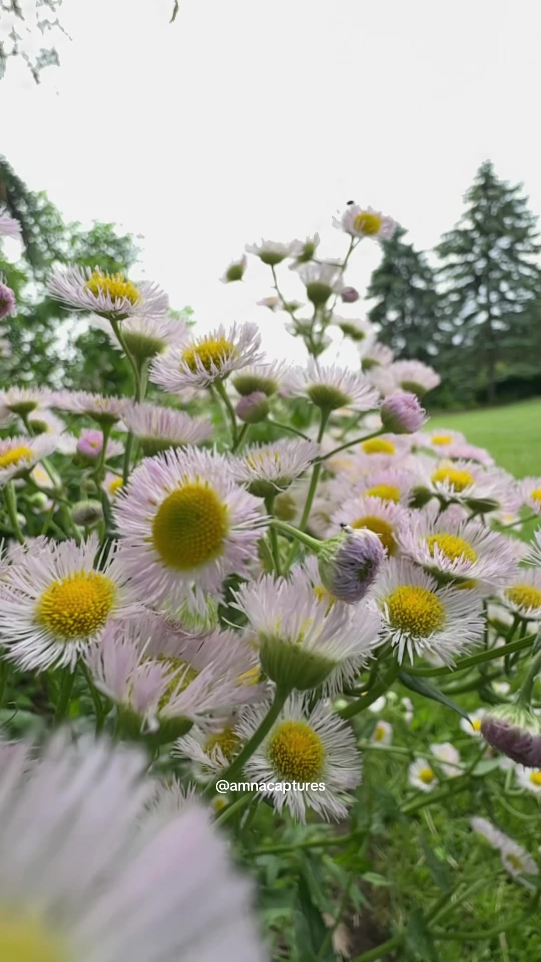 @Nature lover  🇨🇦