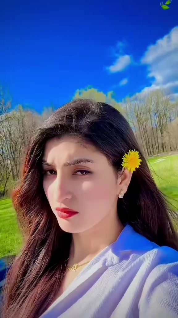 @🕊️