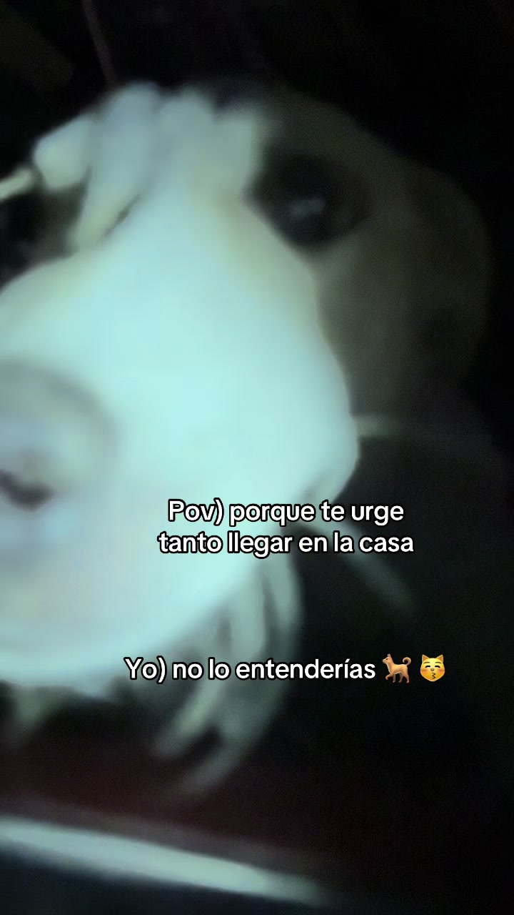 @leticia502🐇🩷