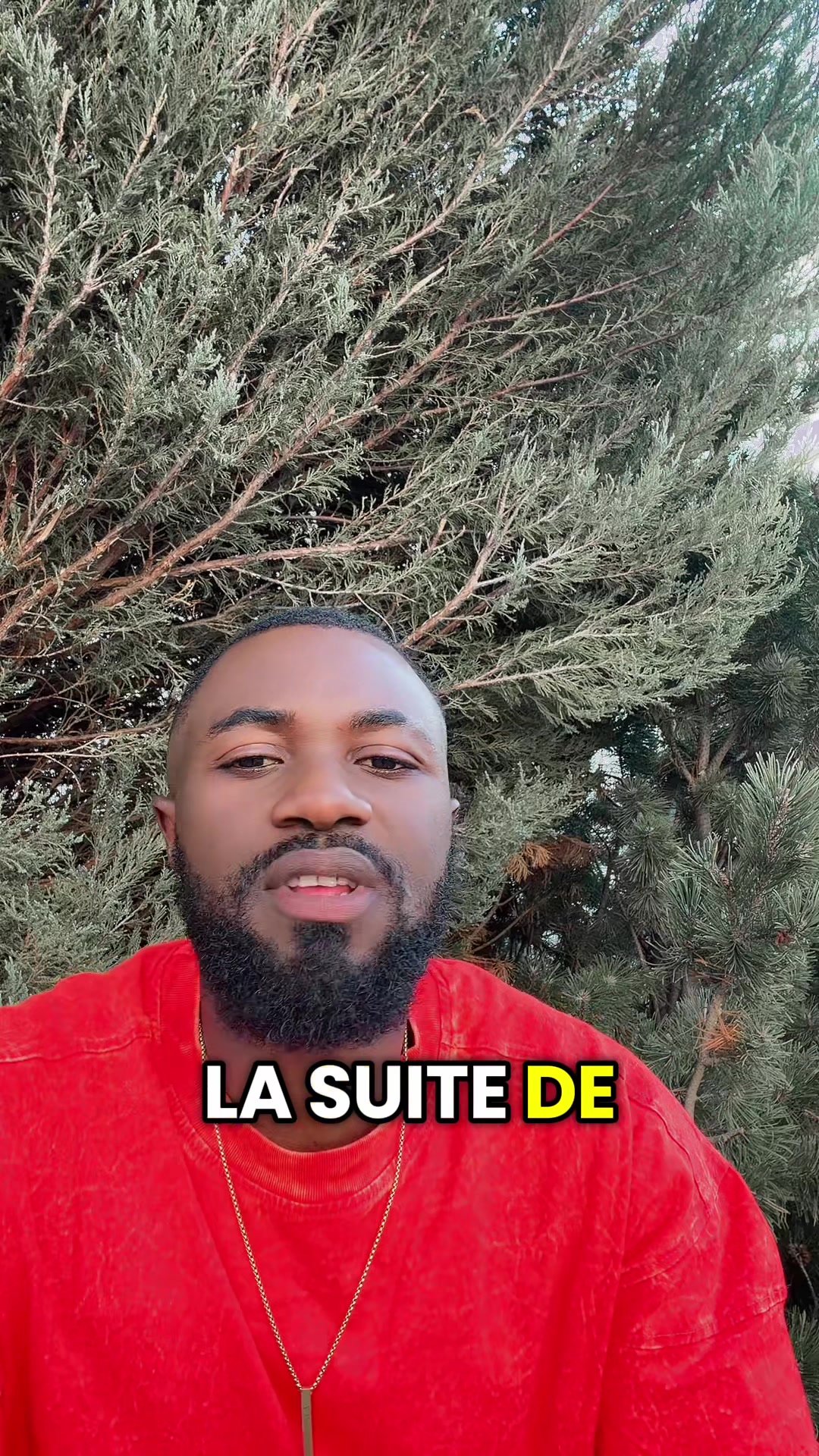 @euro fouine