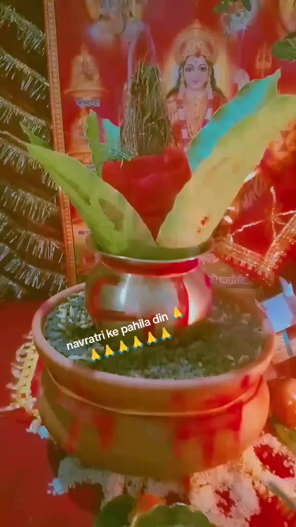 @mamta 😭💔🌹❣️🙏🌷💝🌷