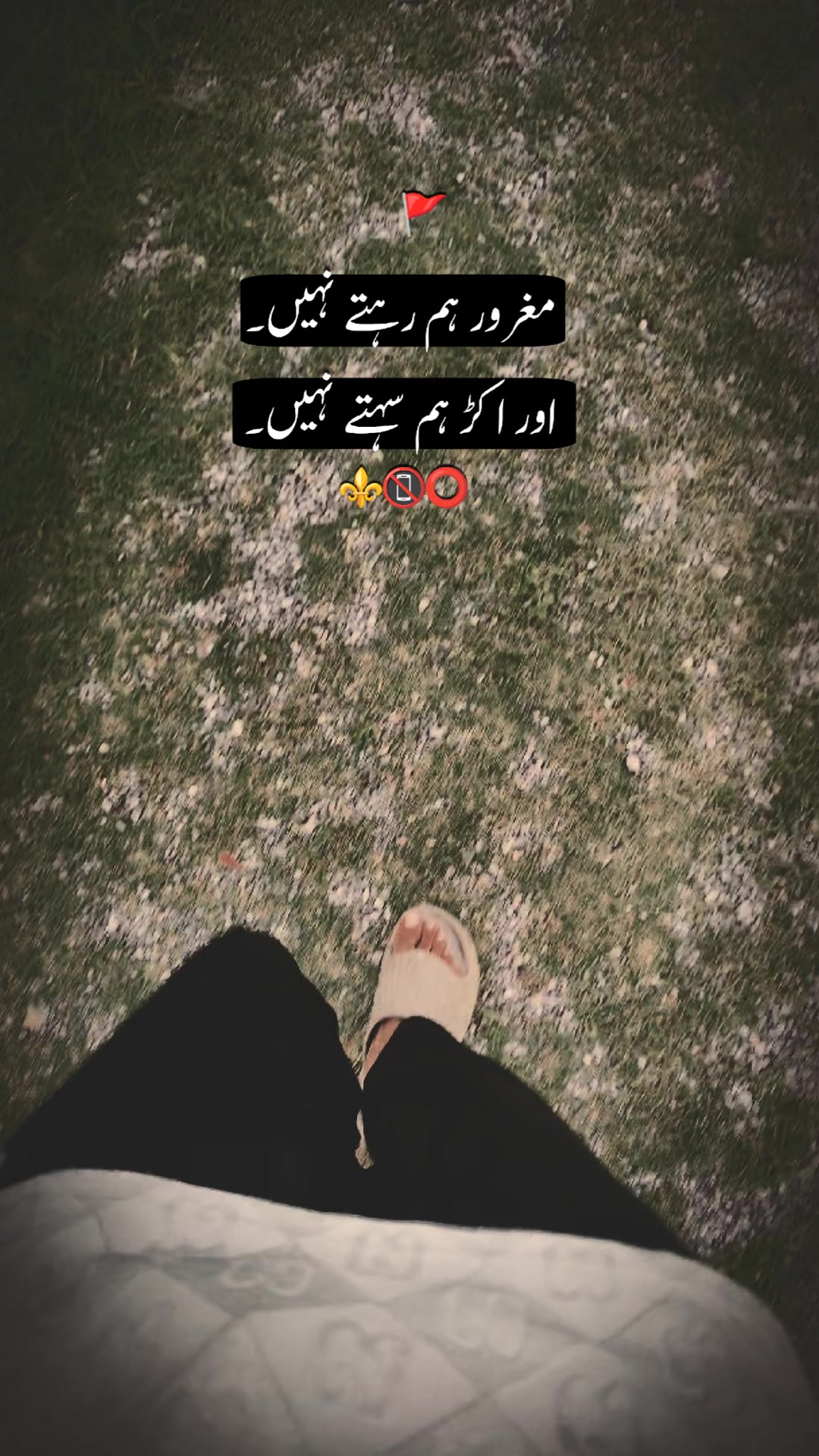 @Talha ki id