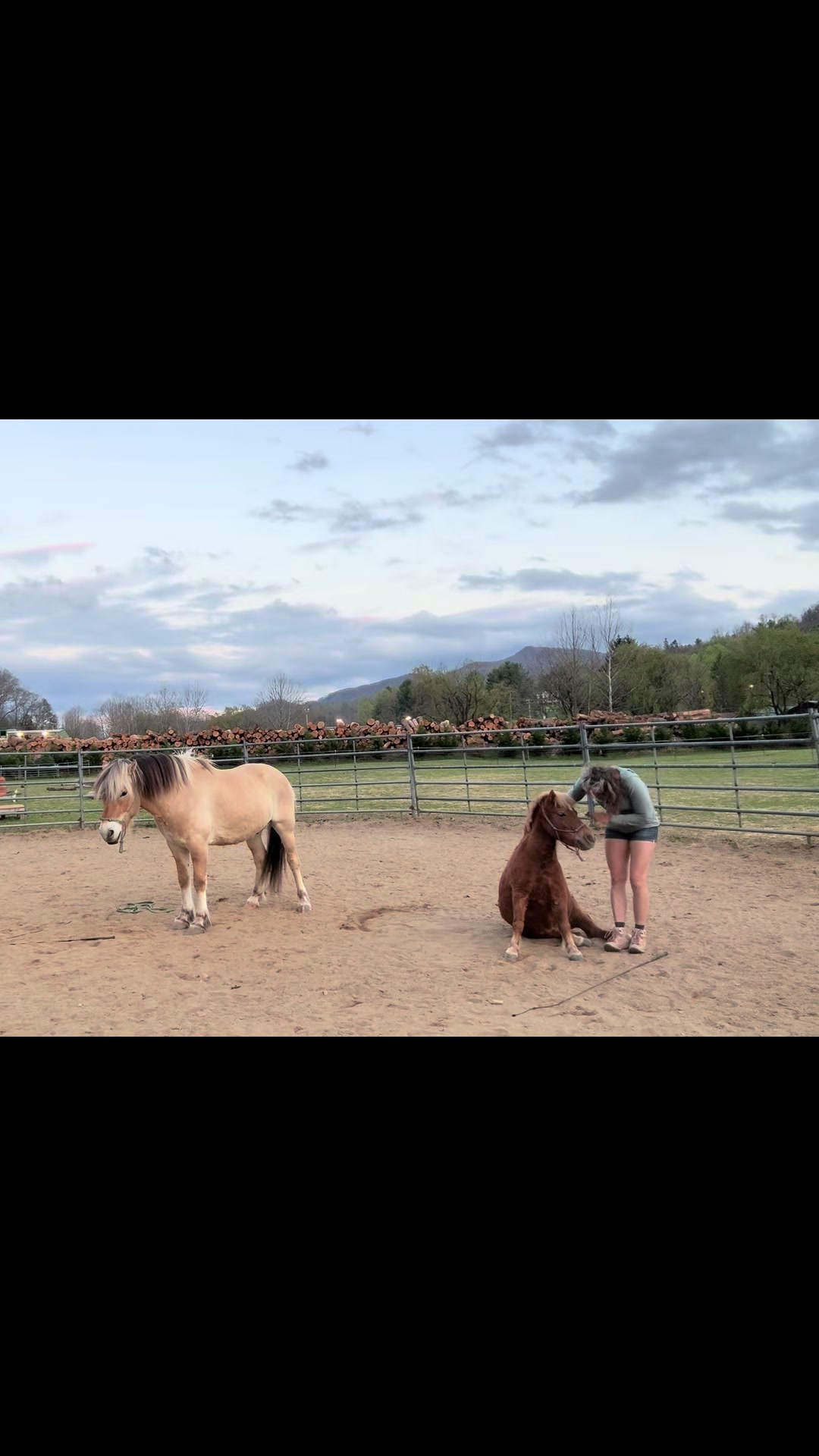 @Janet..Fuzzy.farm.gang