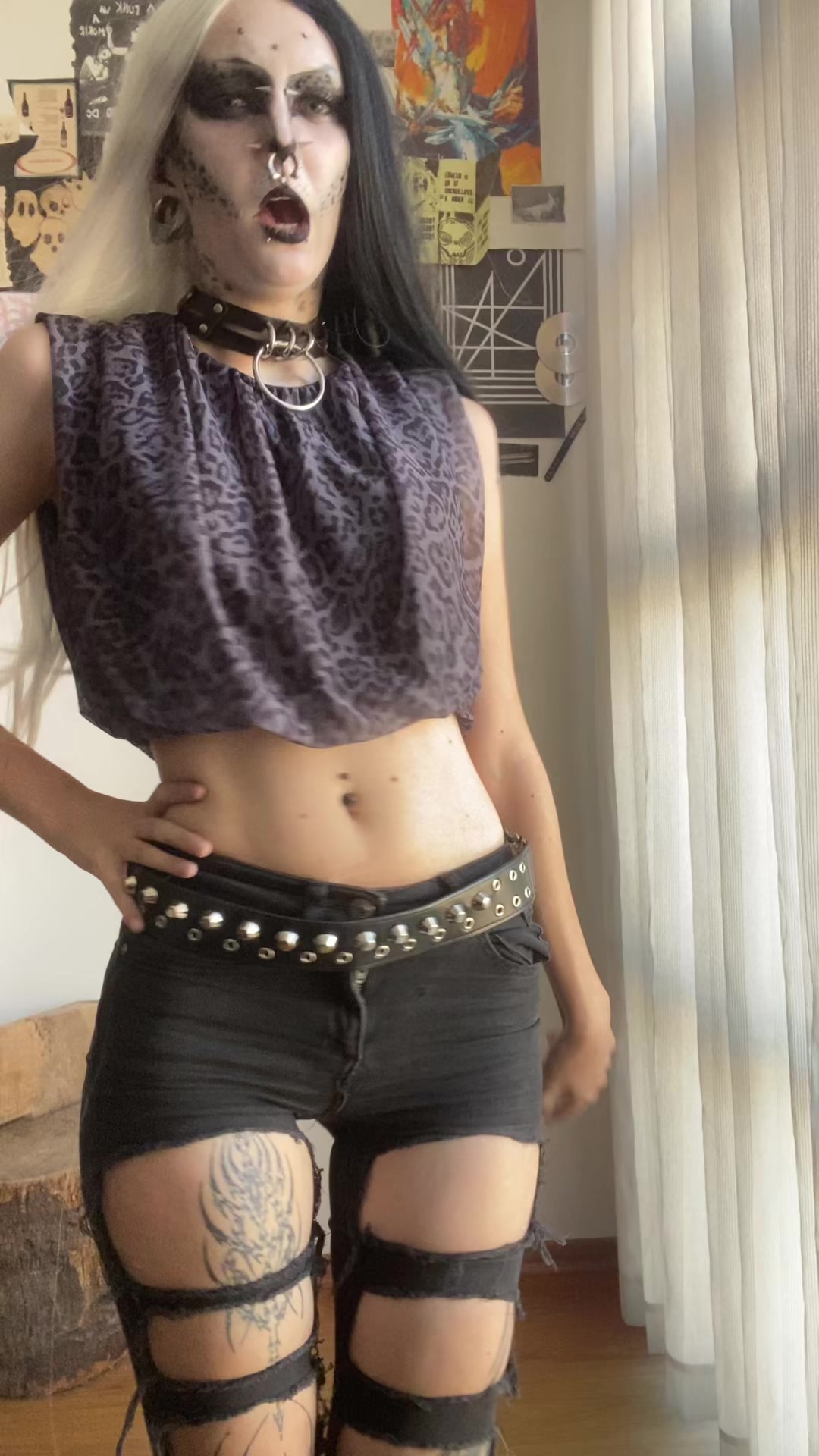 @Aracnida