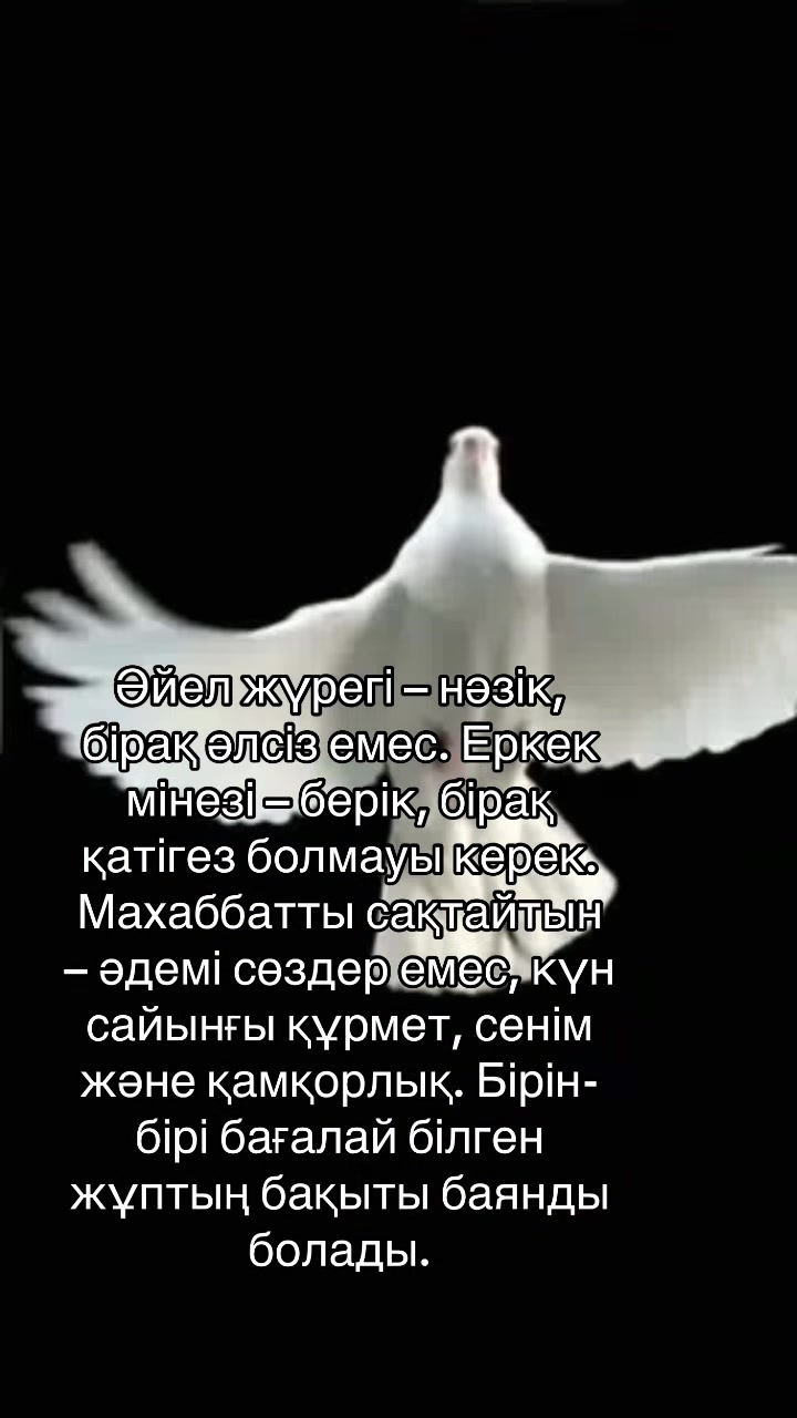 @Жена дальнобойщика🚚🫶🏻