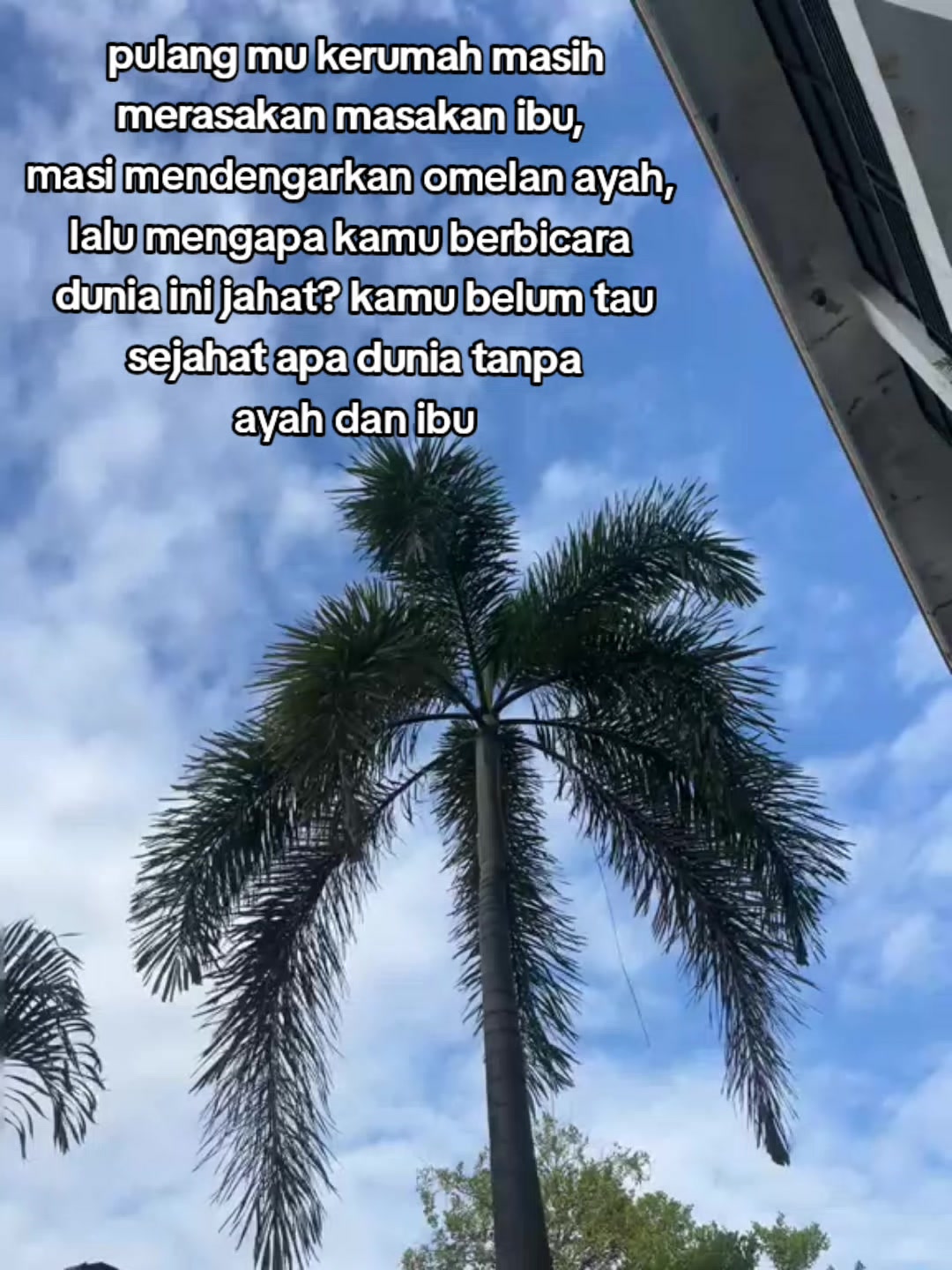 @Agostinha Taka