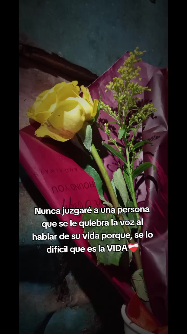 @Bea❤️&zwj;🩹