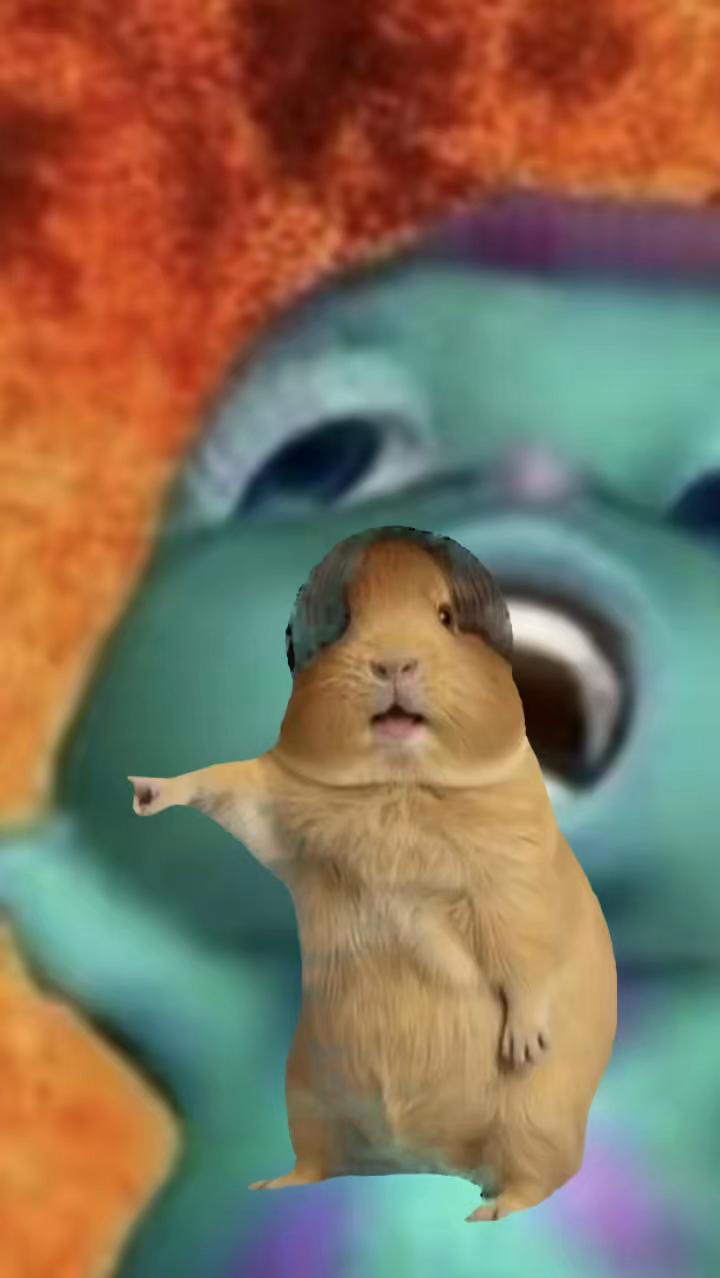 @Sthehorrorfan