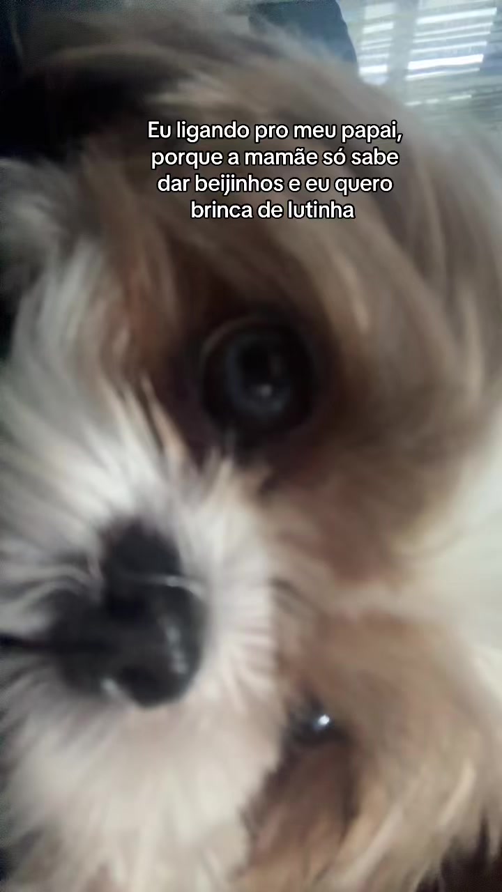@Viviane Ribeiro