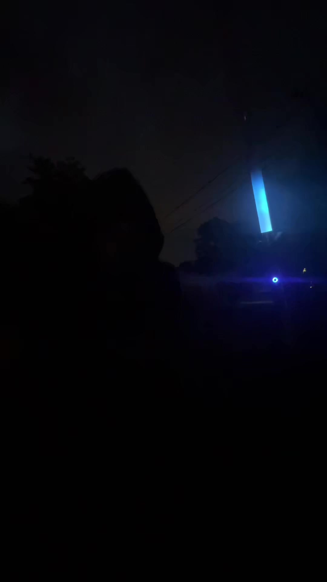 @saberqueentiger
