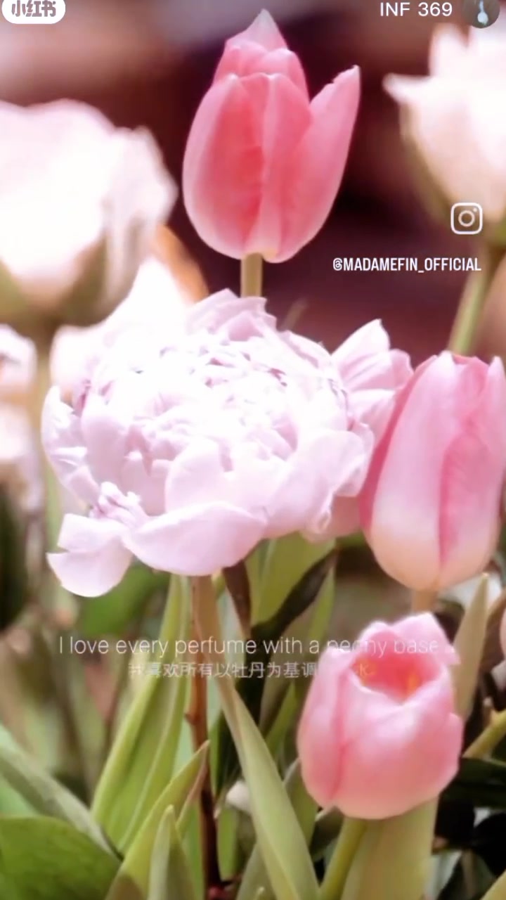 @FayeYokoxCharlotte🌻🫧🐰