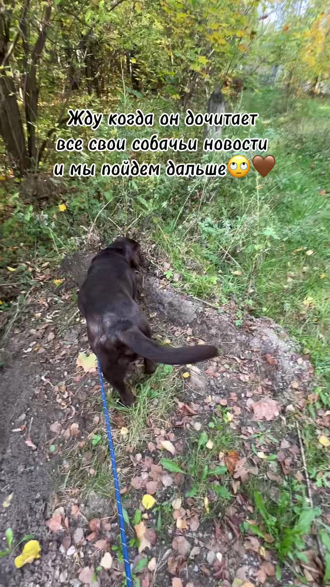 @❤️Оксана❤️