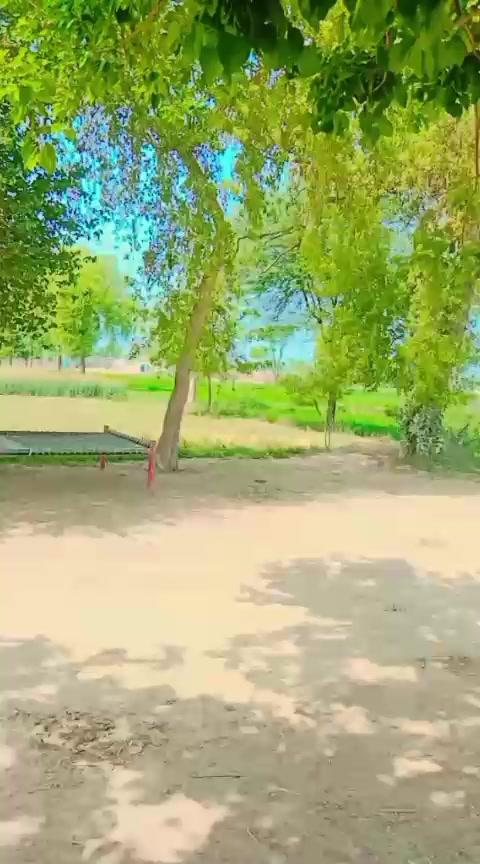 @Sialkot سیالکوٹ آلہ🇵🇰