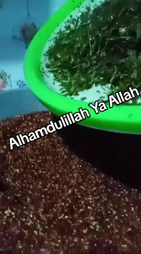 @QSnack17