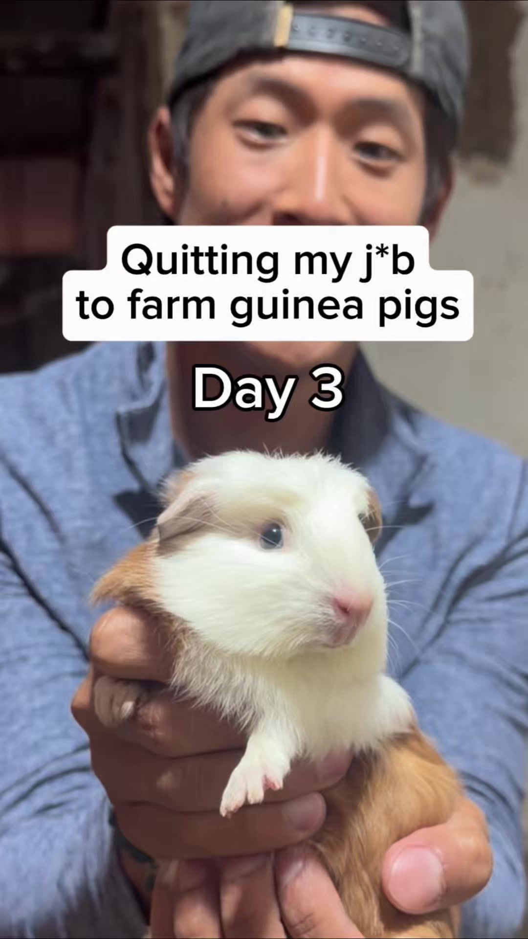 @JP