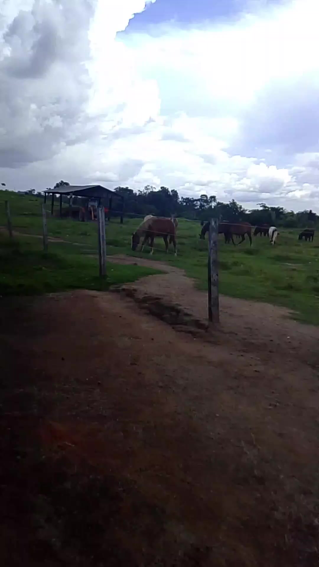 @Menina&Da roça🤠