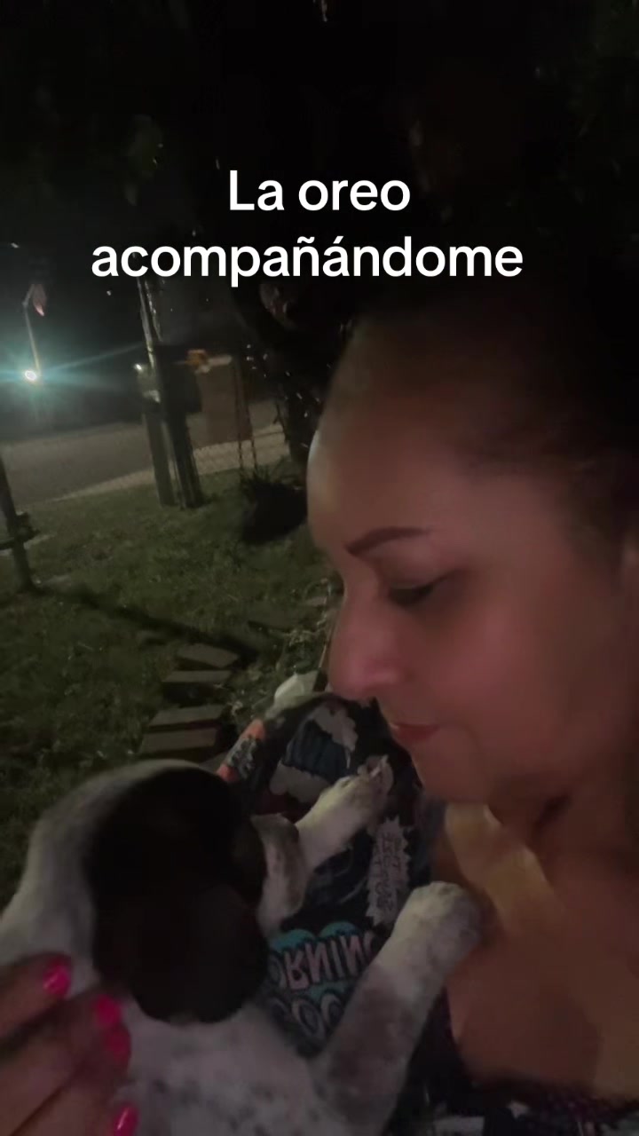 @elvia karime