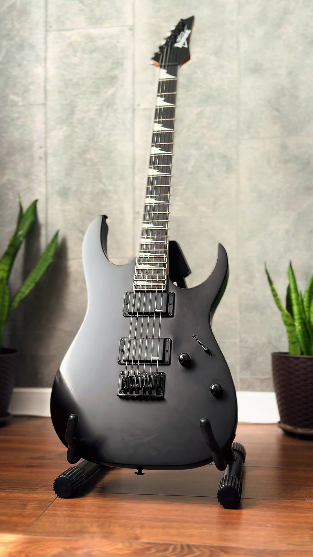 @Bad Monkey Guitars