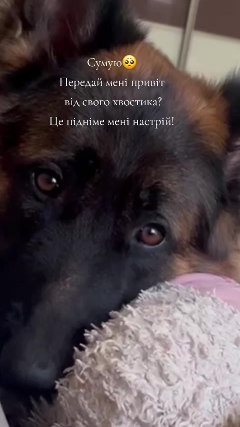 @МАТЬ ДРАКОНІВ🤣