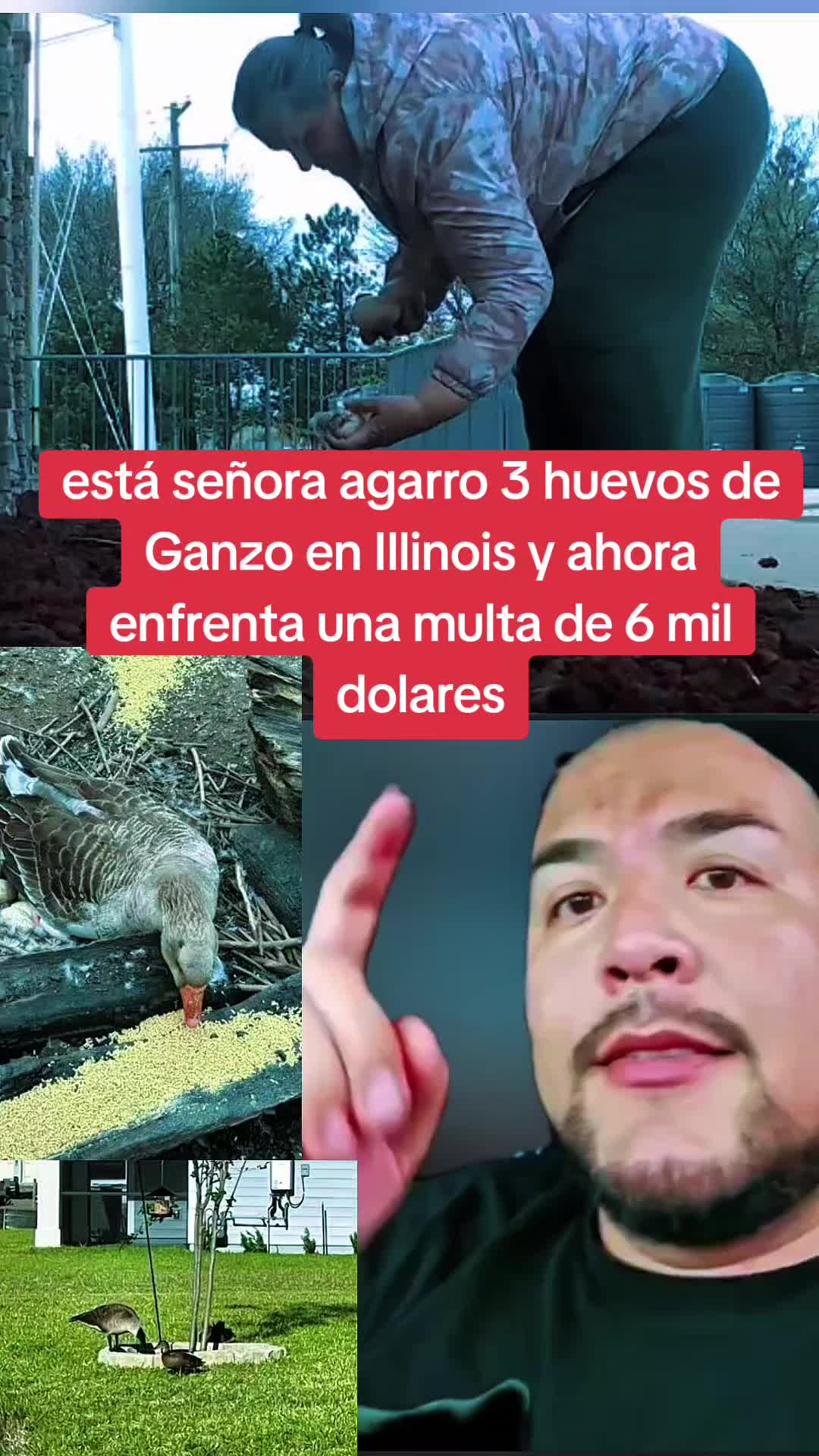 @🇬🇹 NOTICIAS 502 🇬🇹