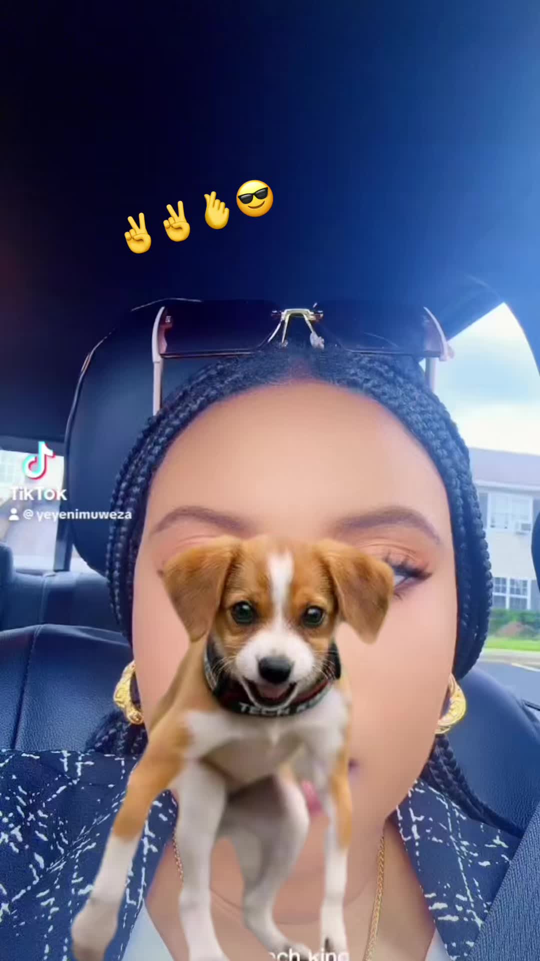 @ORANGE 🍊🍊🌸