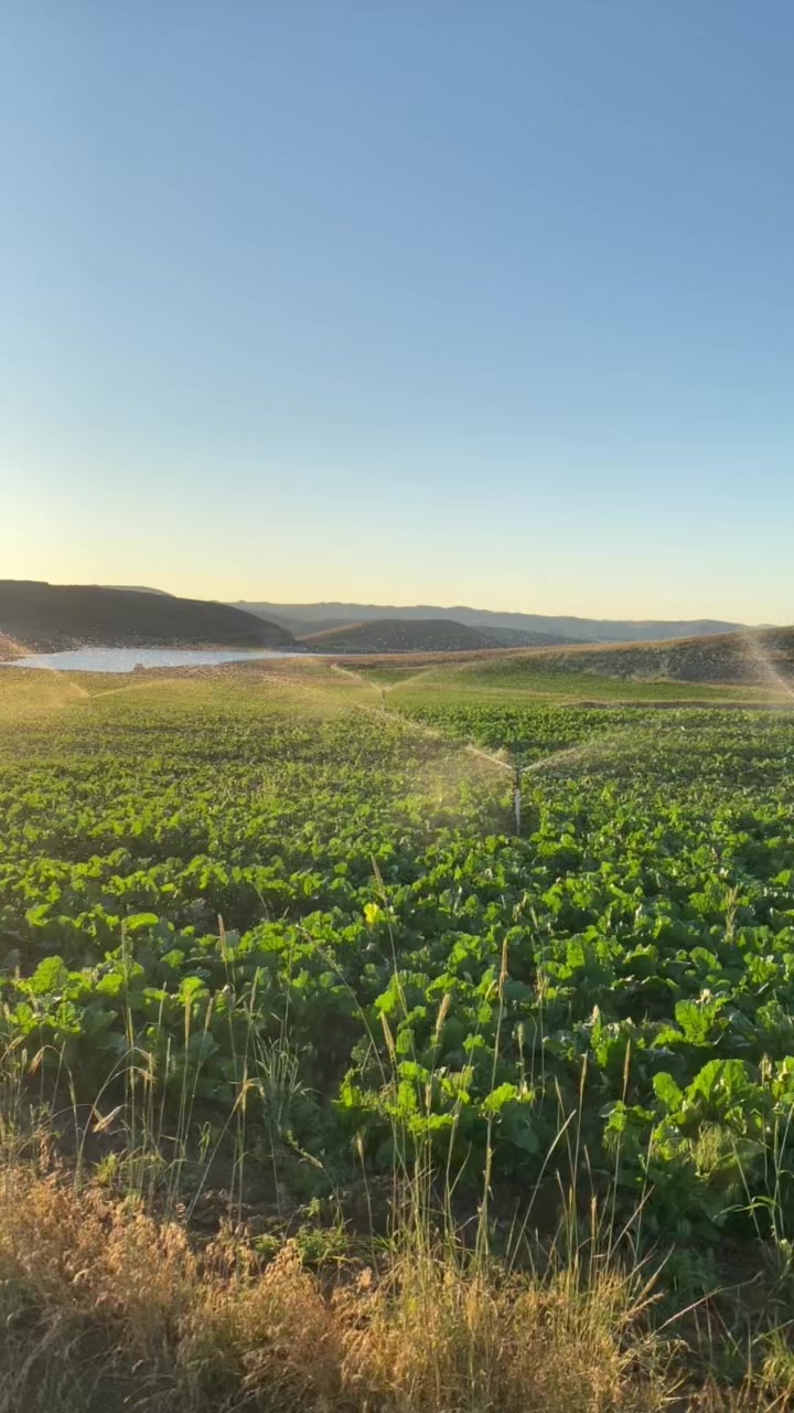 @Hüseyin Karacalar
