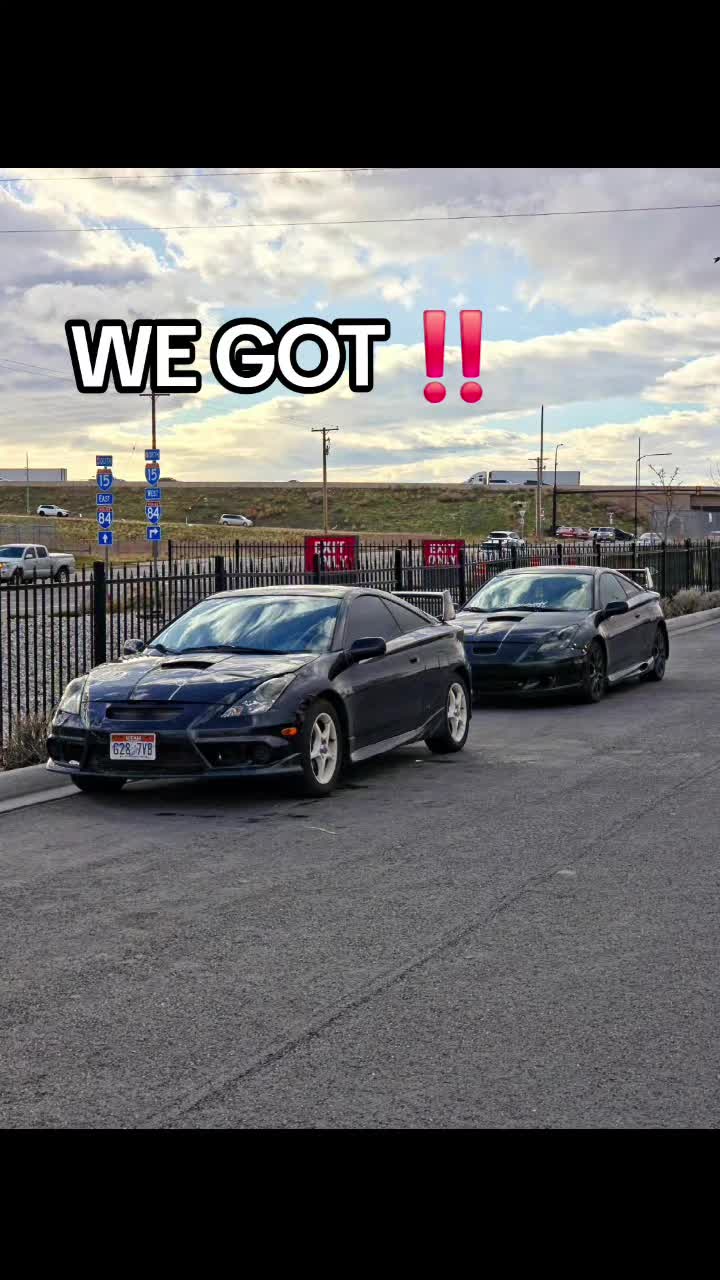 @harley 🦖
