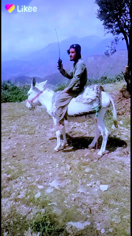 @Usman Dewana