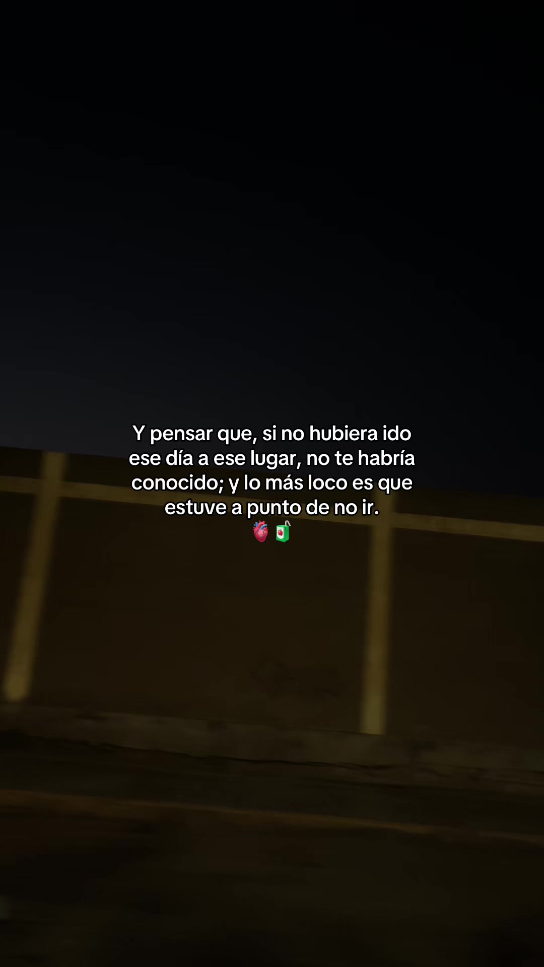 @Gatocix 🐱