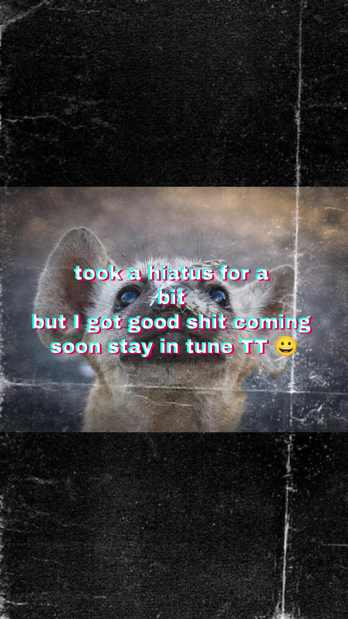 @AbrahamTheHyena