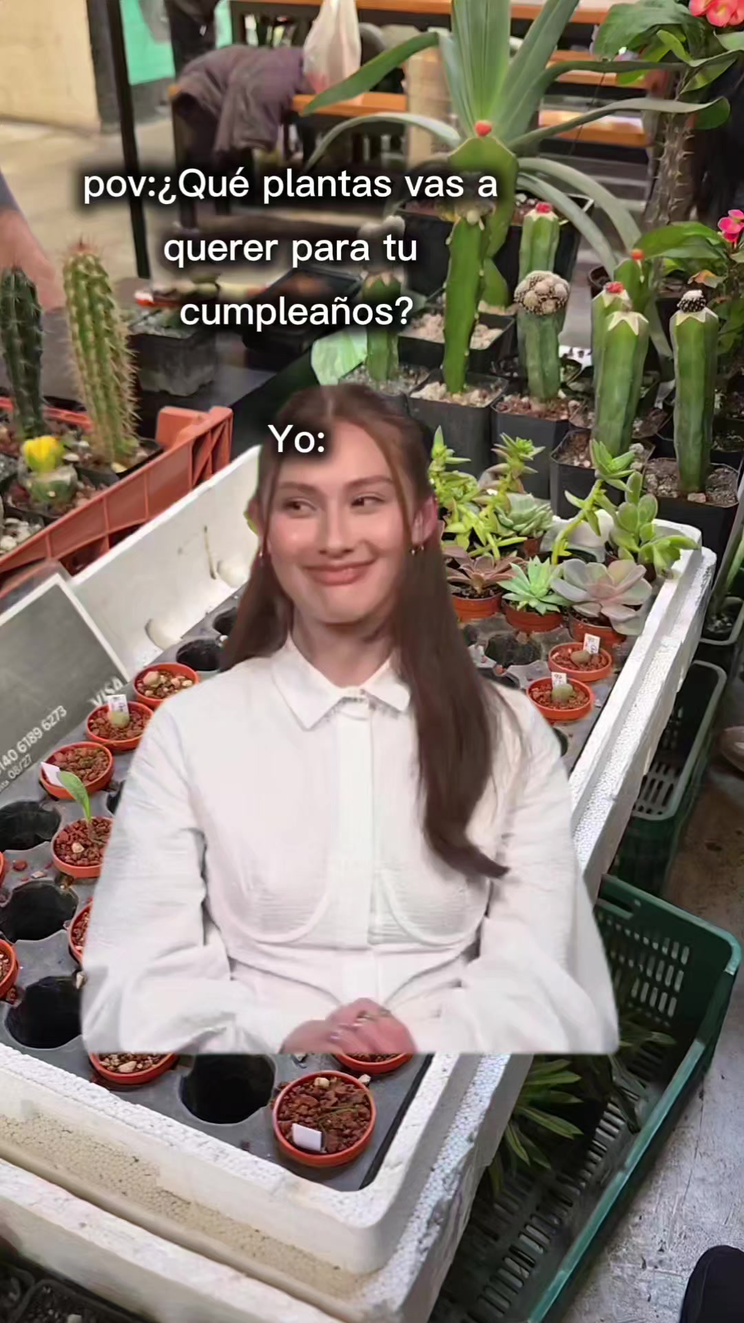 @🌱Plantonio🌱