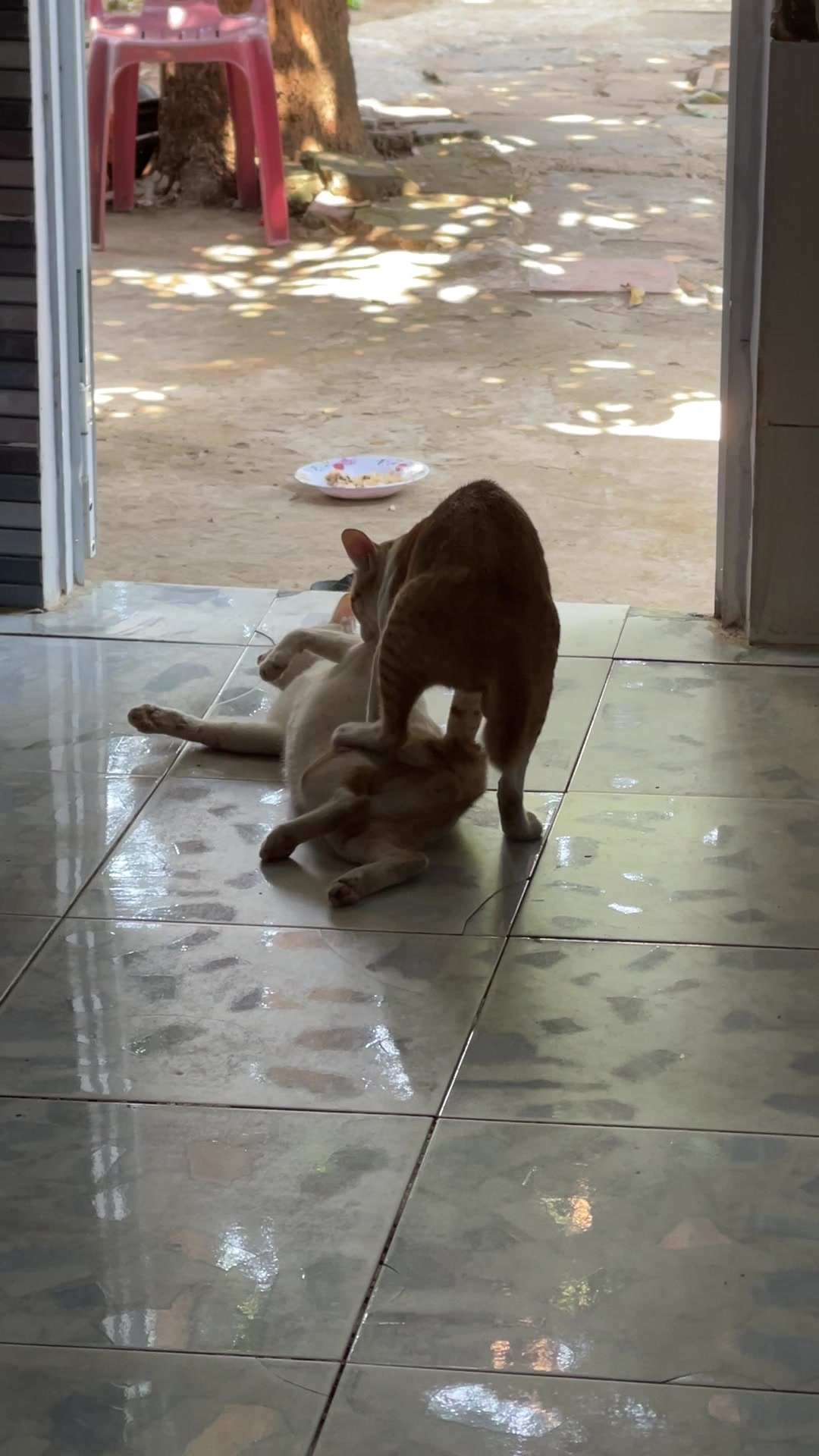 @L&ecirc; diễm hồng