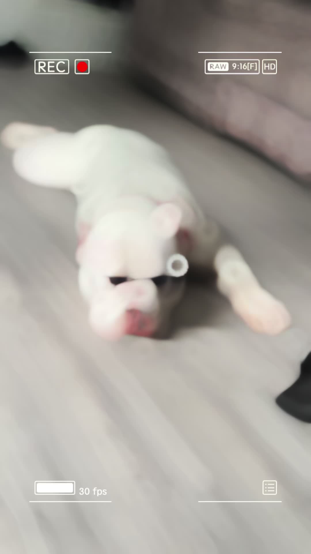 @Bo &reg;️