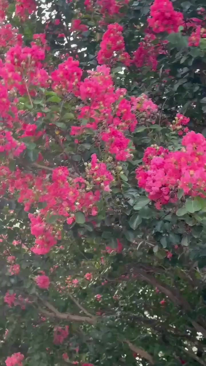 @ek ajanabi