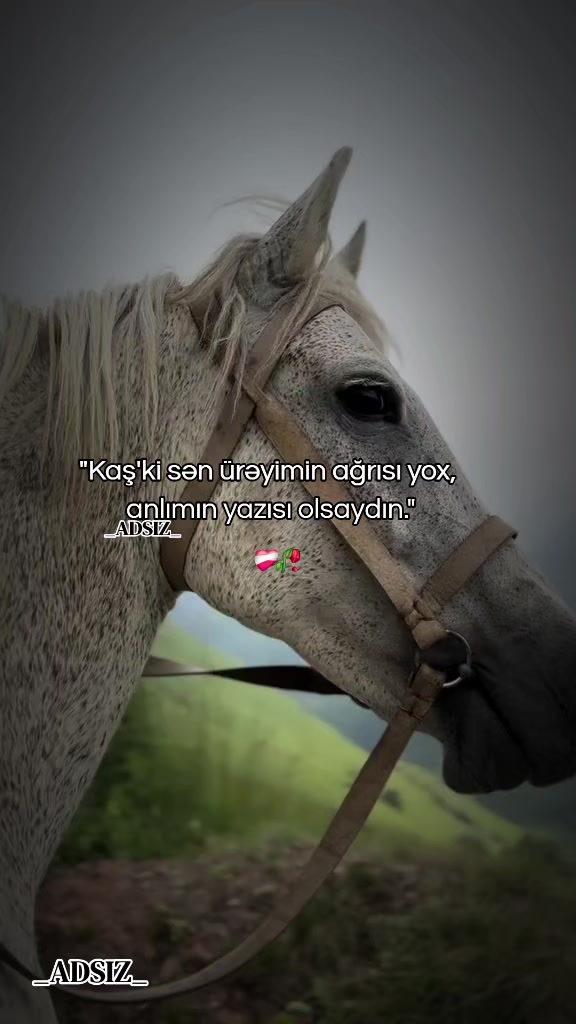 @_ADSIZ_