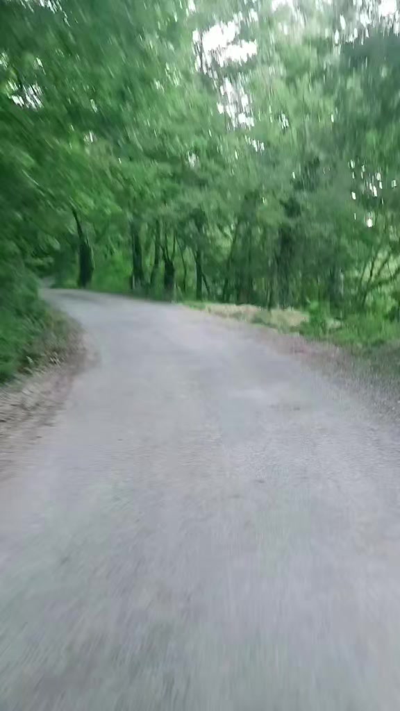 @67sevdam67
