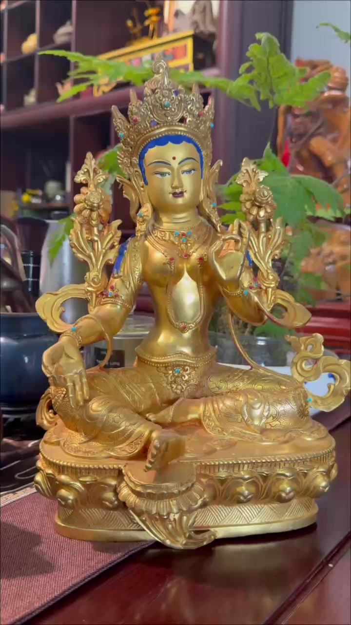 @Mật Tạng V&otilde; Gia