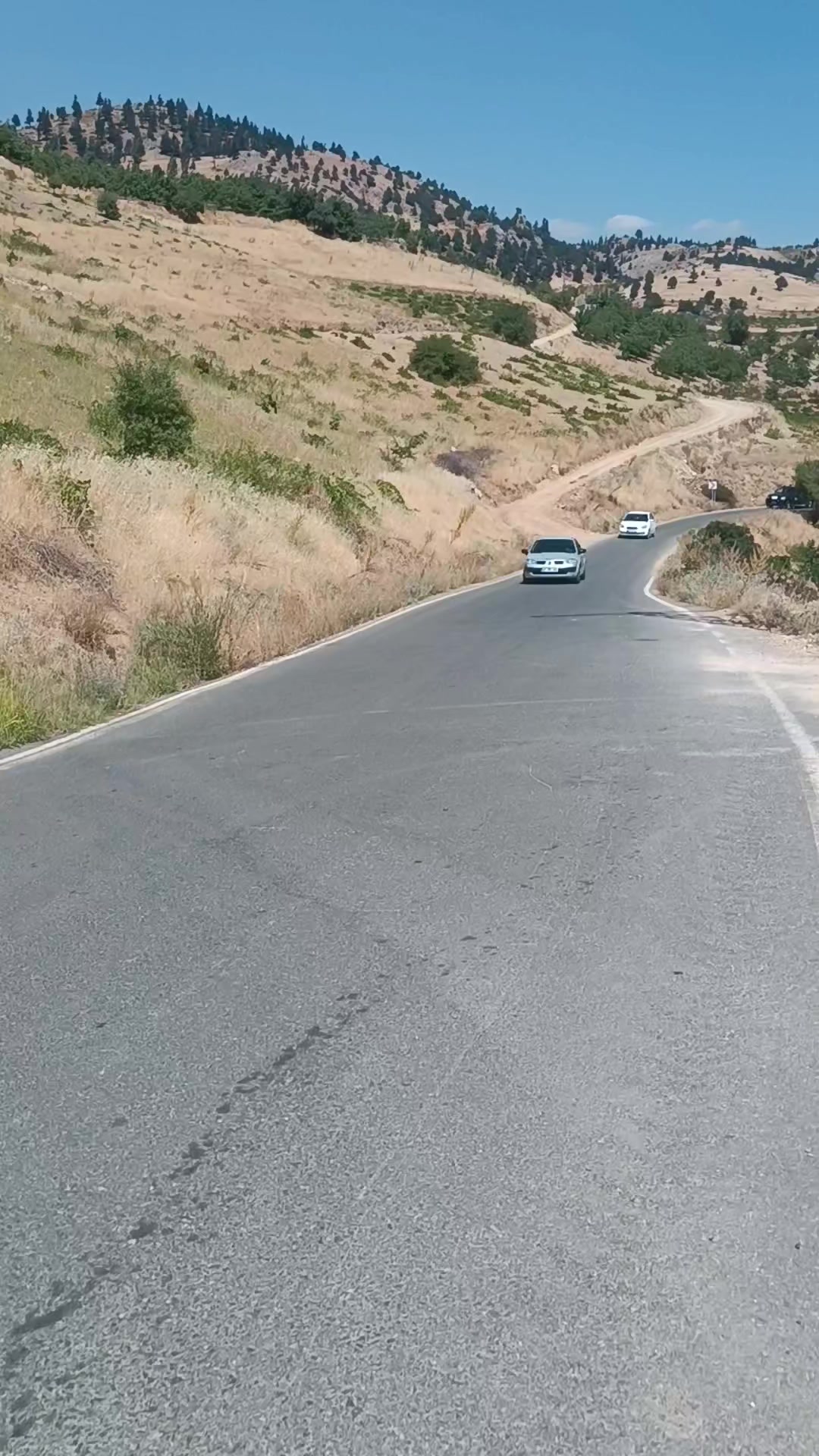 @DAĞCI.46