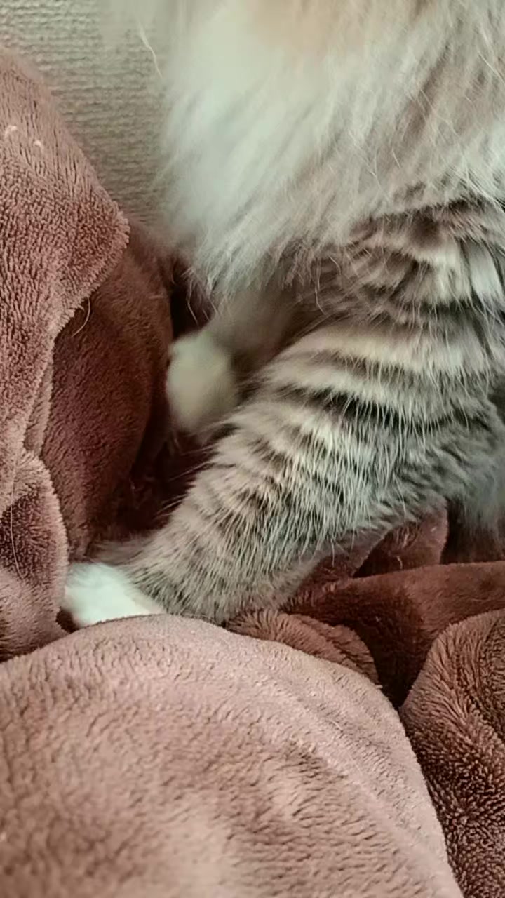 @𝓤𝓹𝓪꒰( ˙𐃷˙ )꒱