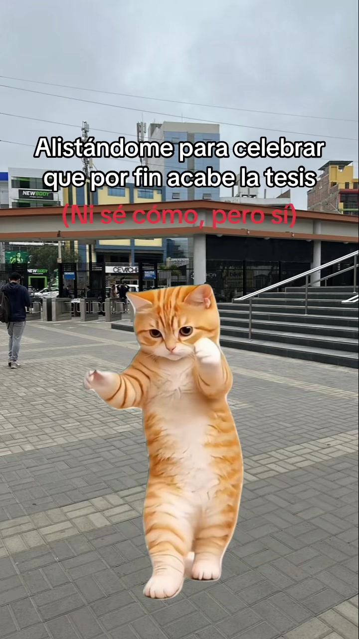 @akademico.pe