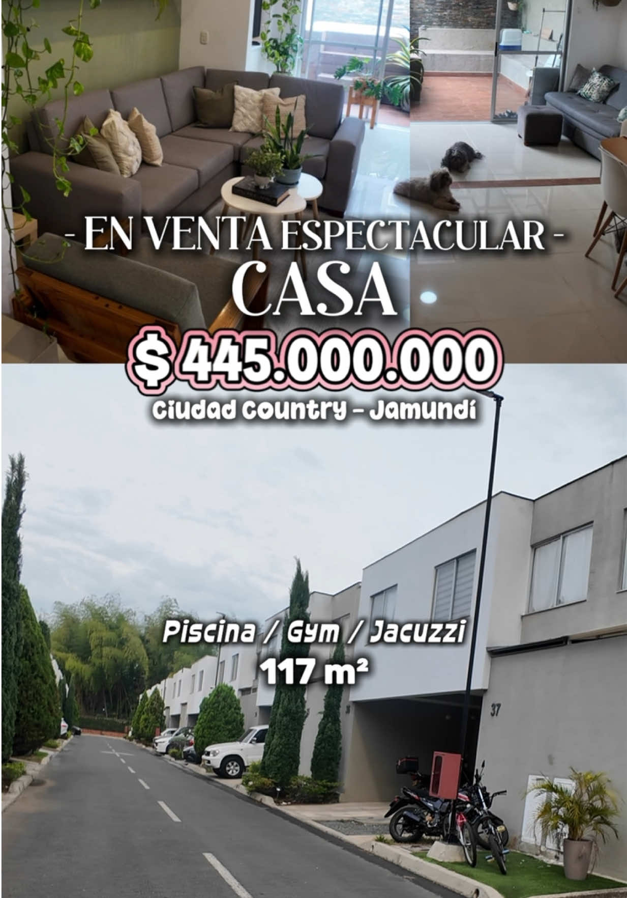 @Katherineurrego_Realtor