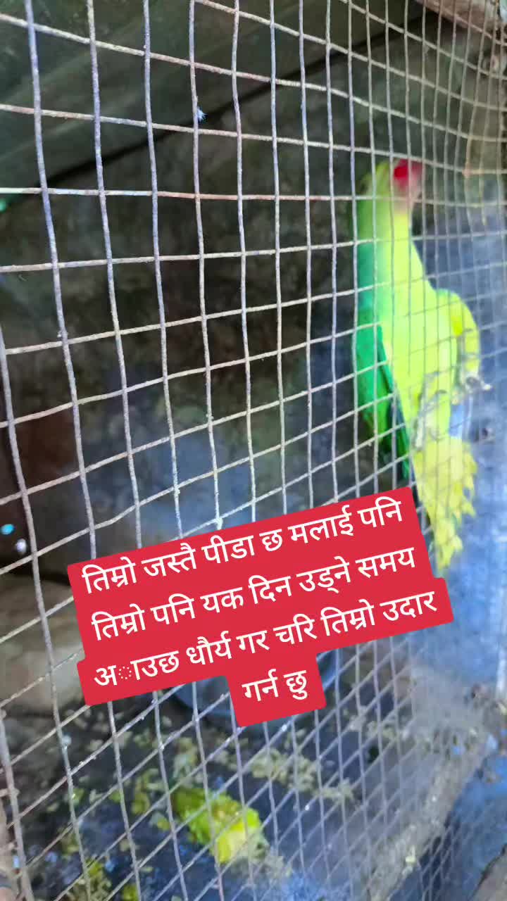 @💗Nava💗 Razz💘 Mishra❤️