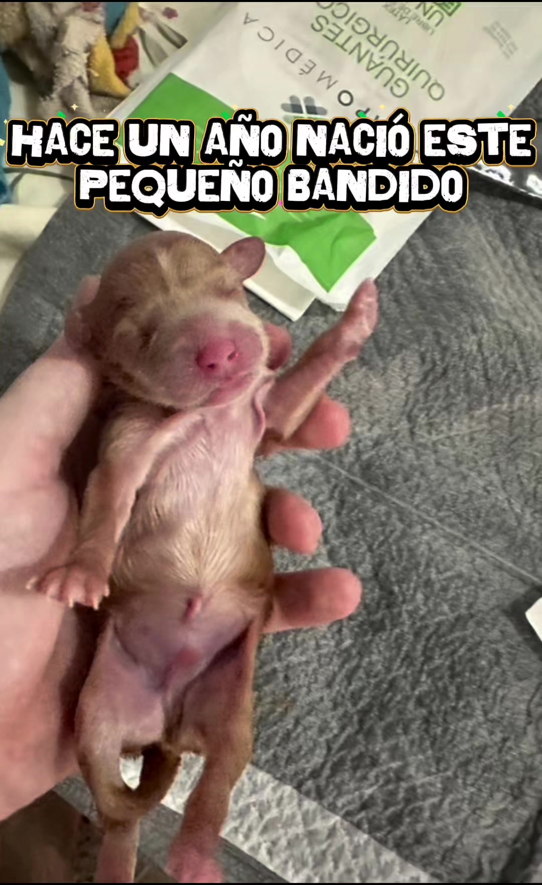 @El Bandido de Max
