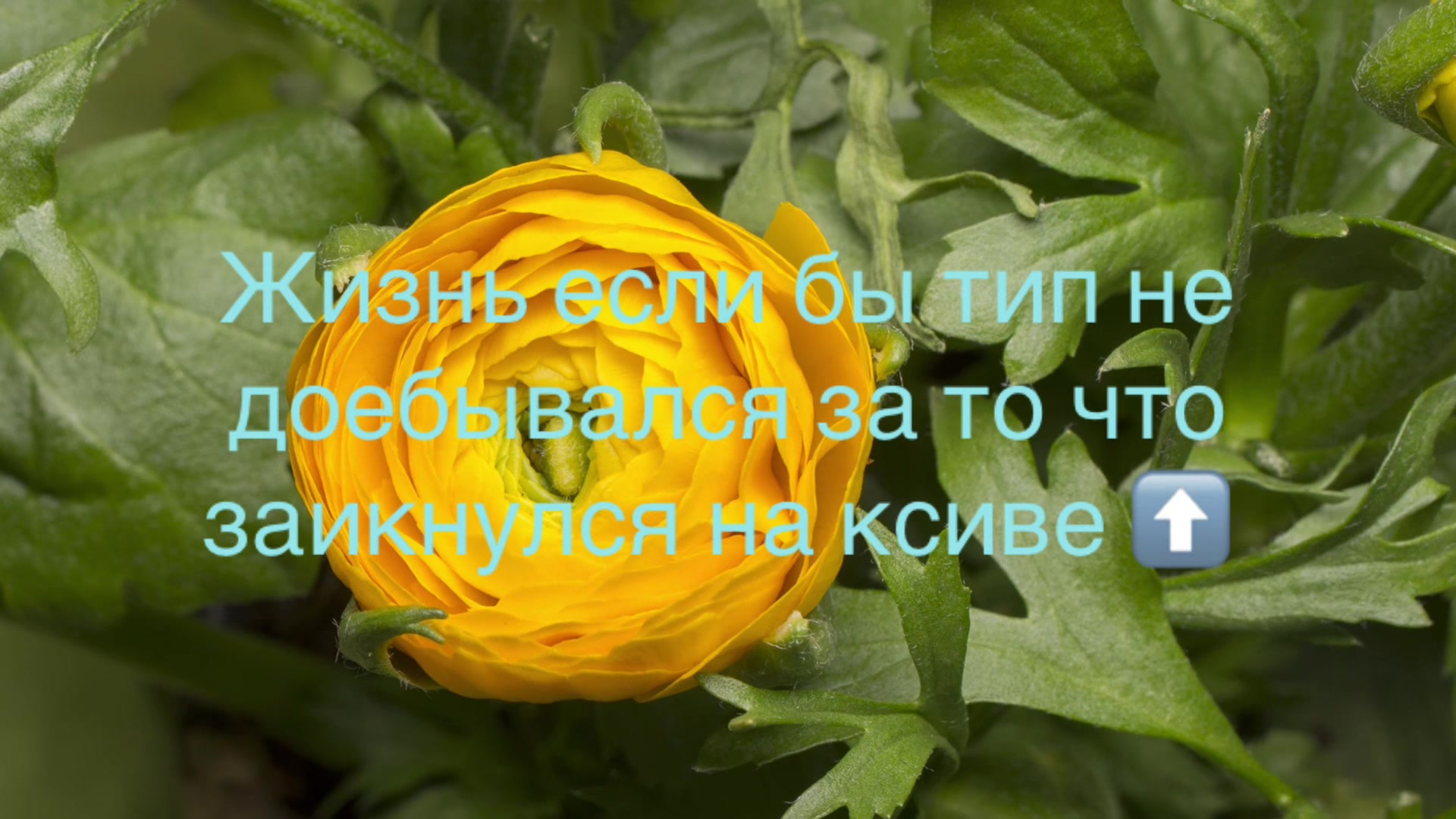 @6Death6Cemetery6