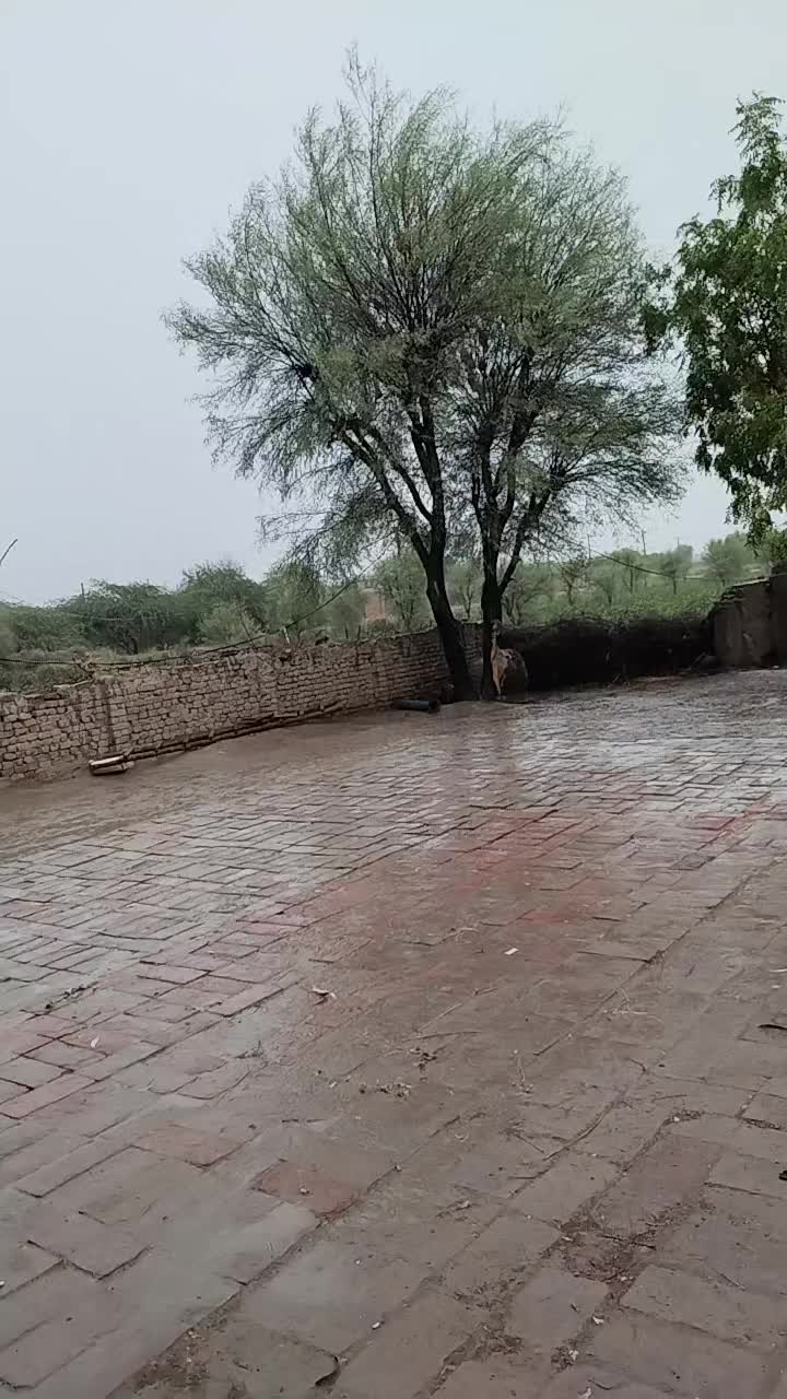 @sabir Hussain Zardari 110