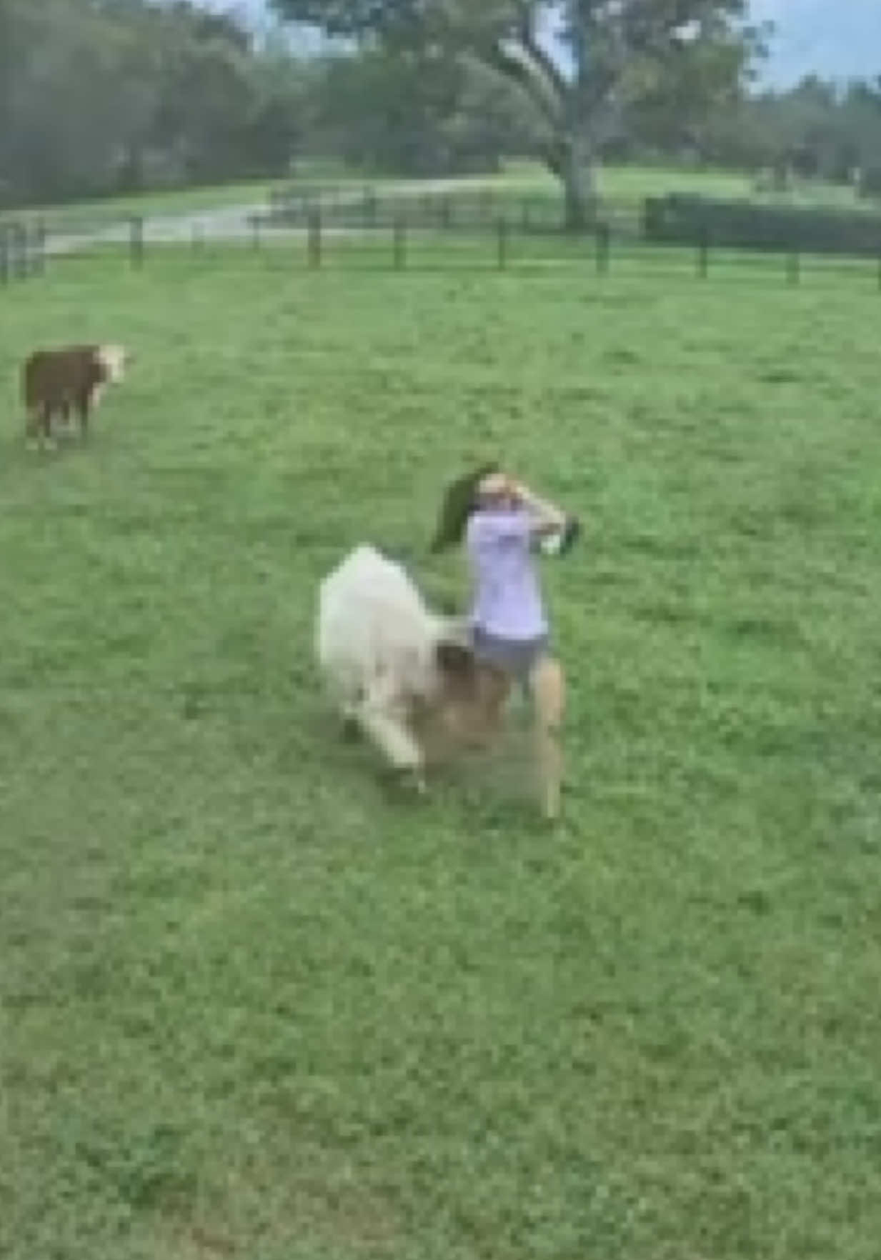 @Chepo- Ranch Hand