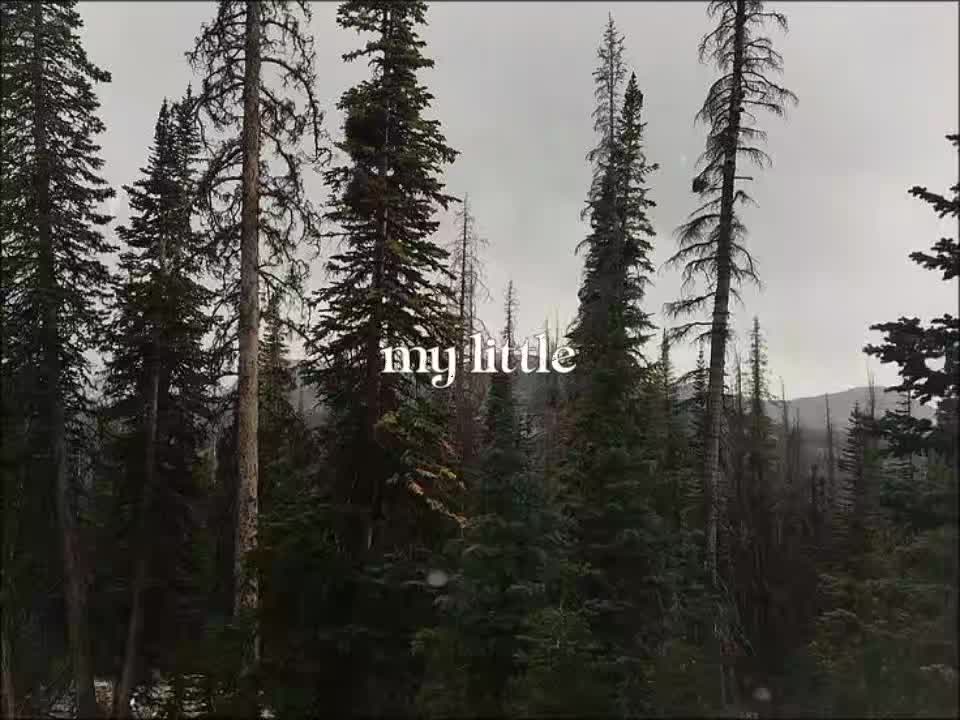 @тирешка