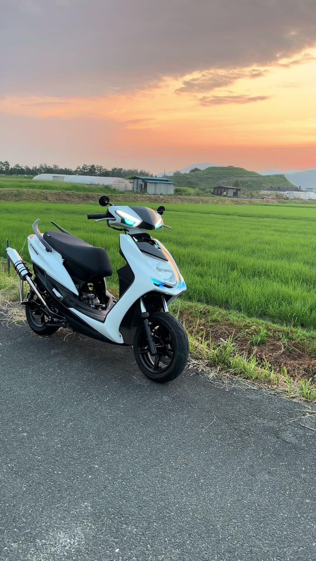 @竜成